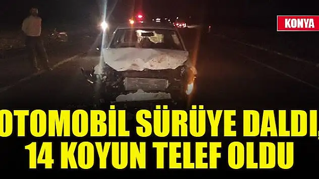 Konya'da otomobil sürüye daldı, 14 koyun telef oldu