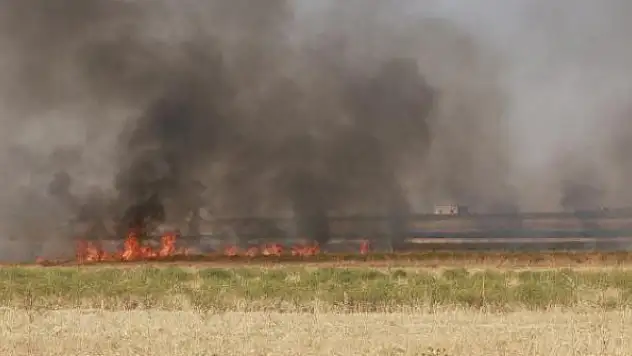 Esed rejiminin saldırılarında buğday tarlaları kül oldu