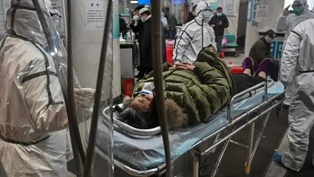 Koronavirüsün kayıp halkası bulundu