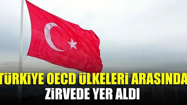 Türkiye OECD ülkeleri arasında zirvede yer aldı