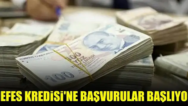 2021 Nefes Kredisi'ne başvurular başlıyor