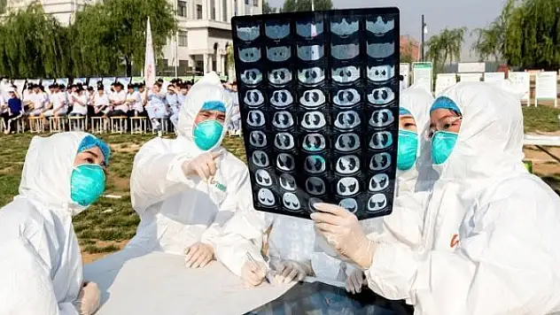 Çin'de ilk defa insanda görülen H10N3 kuş gribi!