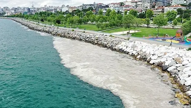 Deniz salyası görülmeye devam ediyor