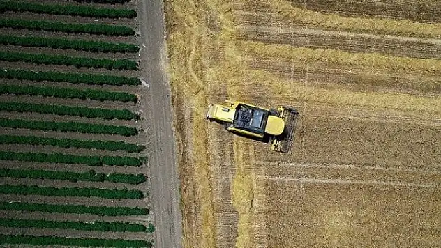 Tarım sektöründen tarihinin en yüksek ocak-mayıs ihracatı
