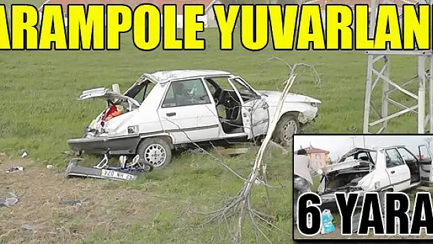 Koyun sürüsünden kaçtı şarampole yuvarlandı: 6 yaralı