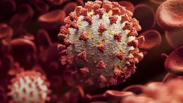 Mutasyona uğrayan virüs Venezuela'da