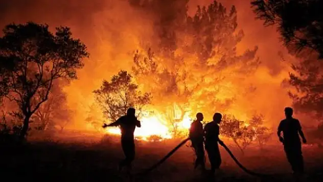 Yaktığı ateş ormana sıçradı, 155 bin TL ceza aldı