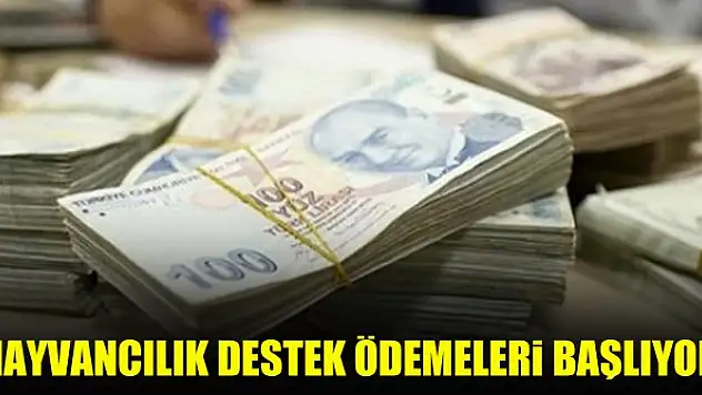 Hayvancılık destek ödemeleri başlıyor