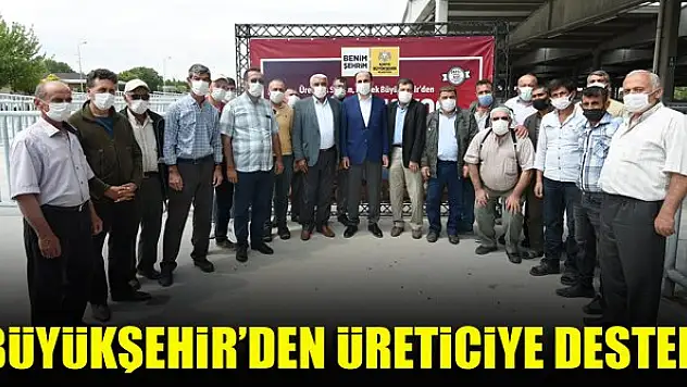 Konya Büyükşehir'den üreticiye damızlık koç desteği