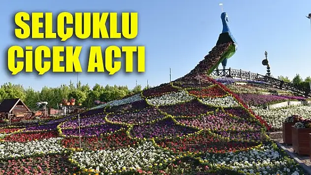 Selçuklu çiçek açtı