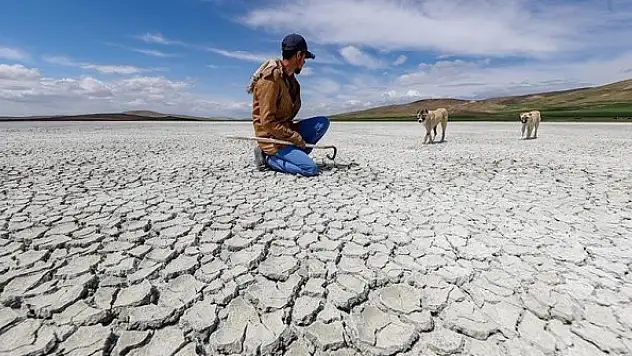 Van'daki Akgöl'ün kuruması kuşları göçe zorladı