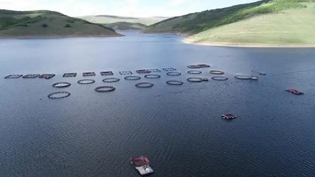 5 ayda yarım milyar dolar ihracat