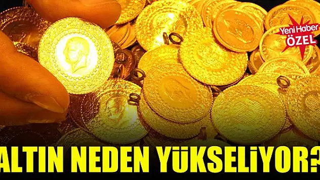 Altın neden yükseliyor?