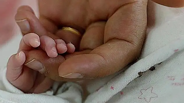 Tek doğumda 10 bebek dünyaya geldi