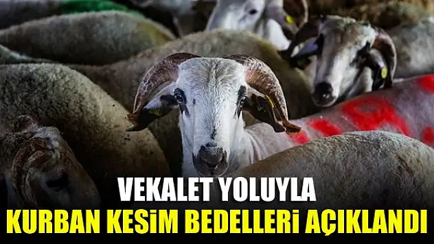 Vekalet yoluyla kurban kesim bedelleri açıklandı