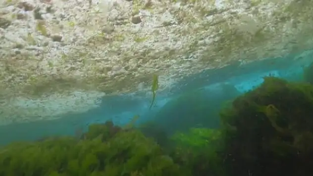 ODTÜ müsilaj için daha derinlere iniyor