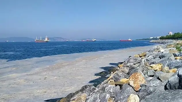 7 günde 2 bin 684 metreküp müsilaj temizlendi