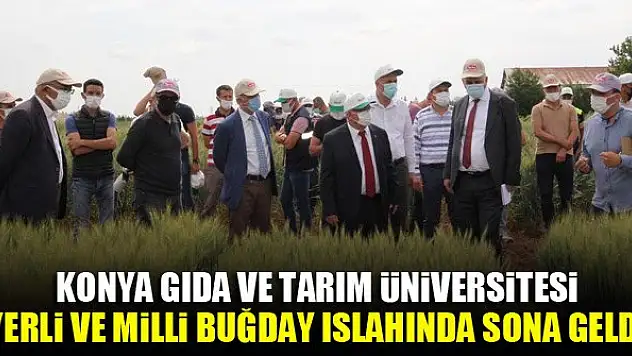 Konya Gıda ve Tarım Üniversitesi yerli ve milli buğday ıslahında sona geldi