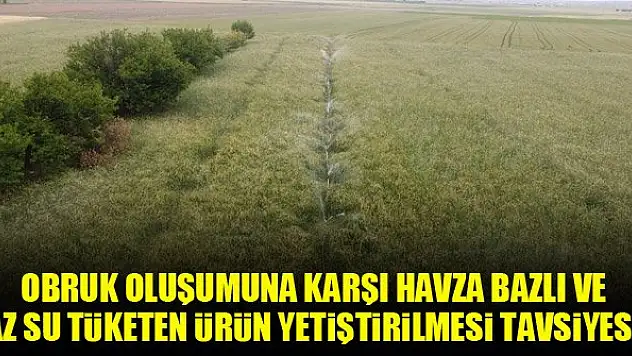 Obruk oluşumuna karşı havza bazlı ve az su tüketen ürün yetiştirilmesi tavsiyesi