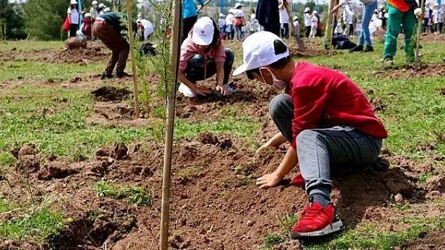 Ağaçlandırma seferberliği tüm bölgelerde devam ediyor