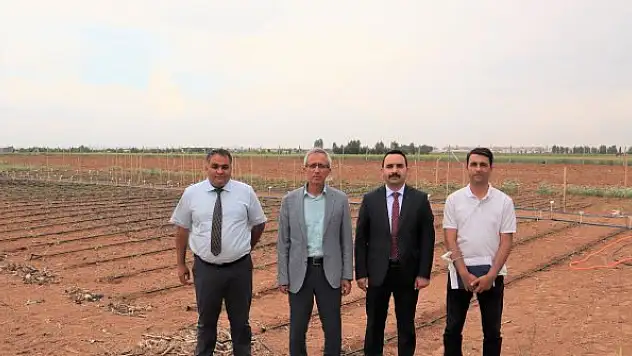 Sarayönü ilçesinde ata  tohumları korunuyor
