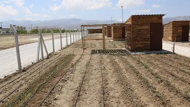 Ereğli'de hobi bahçeleri  sahiplerine teslim ediliyor