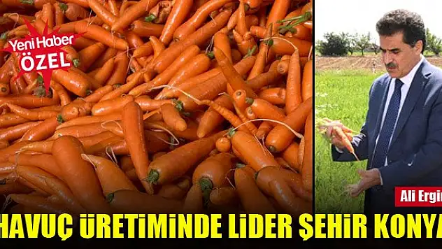 Havuç üretiminde lider şehir Konya