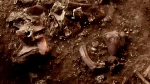 Yeni bir insan türü keşfedildi