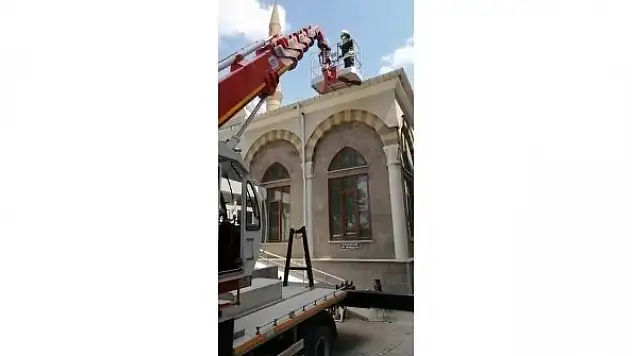 Yuvadan düşen yavru leyleği itfaiye ekipleri kurtardı