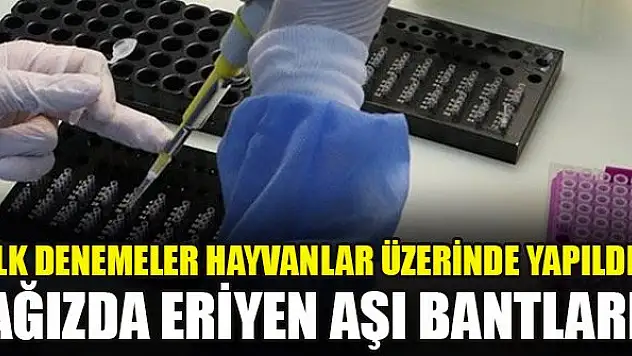 İlk denemeler hayvanlar üzerinde yapıldı: Ağızda eriyen aşı bantları
