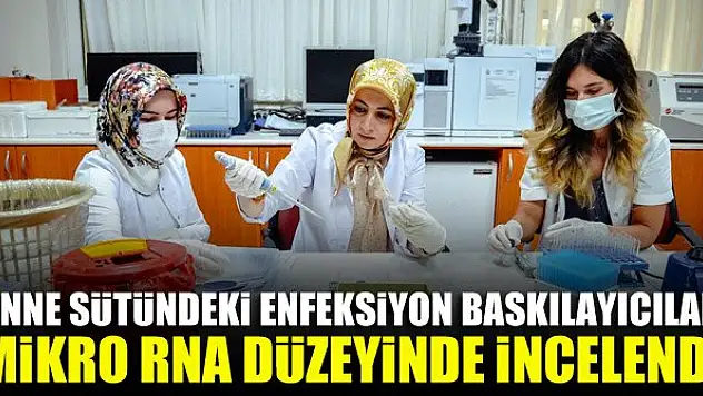 Anne sütündeki enfeksiyon baskılayıcılar mikro RNA düzeyinde incelendi