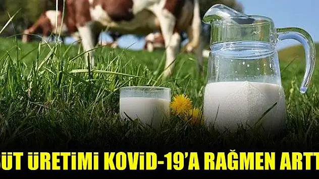Süt üretimi Kovid-19 salgınına rağmen arttı
