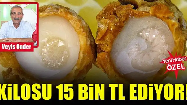 Kilosu 15 bin TL ediyor!