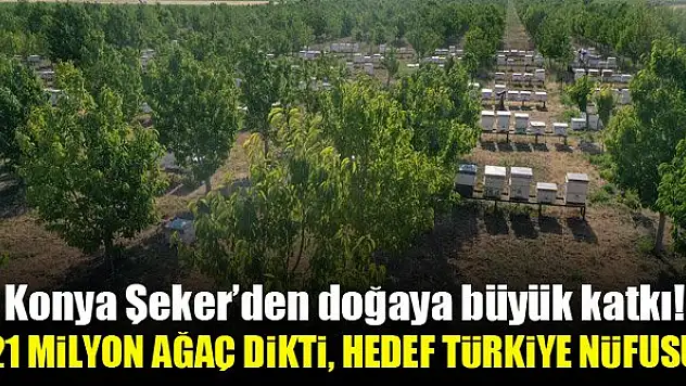 Konya Şeker'den doğaya büyük katkı! 21 milyon ağaç dikti, hedef Türkiye nüfusu