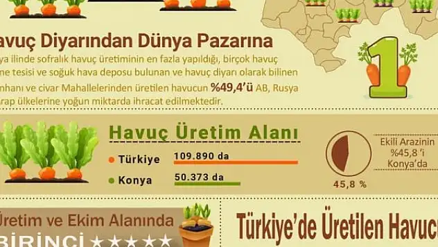 Havuç üretim sezonu başladı