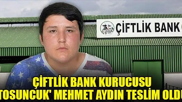 Çiftlik Bank kurucusu 'Tosuncuk' Mehmet Aydın teslim oldu