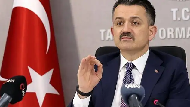Bakan Pakdemirli: TMO fındık alım fiyatları için çalışma yapıyoruz