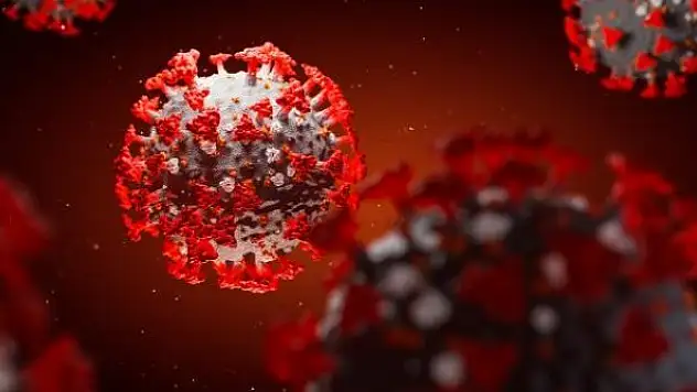 Delta varyantı Sırbistan'da