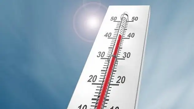 Aşırı sıcaklardan dolayı ölenlerin sayısı 719'a çıktı