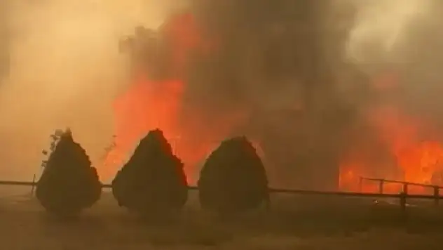 Kanada'da yangın: 2 Müslüman aileden 7 kişi öldü