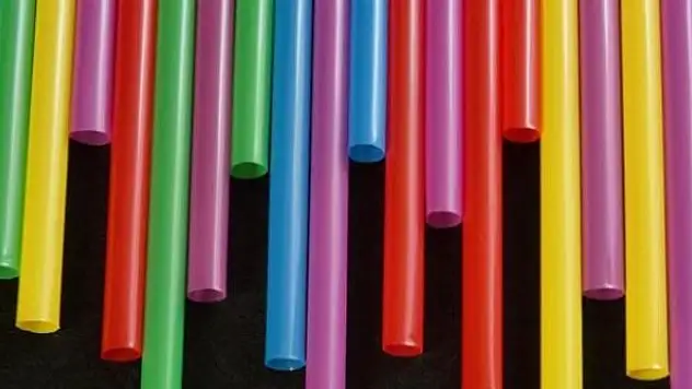 AB bazı tek kullanımlık plastik ürünleri yasakladı