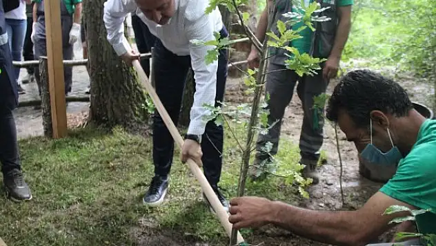 Türkiye'nin ilk orman kütüphanesi Kocaeli'nde açıldı