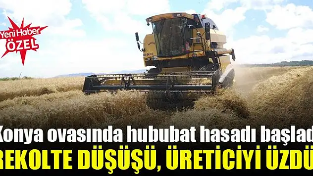 Kuraklık ve dolu rekolteyi düşürdü
