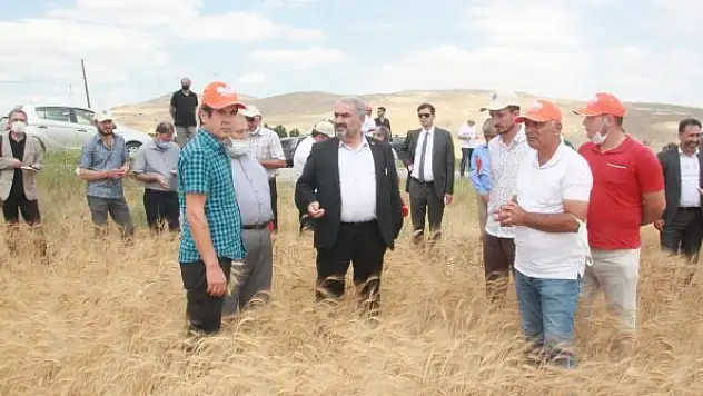Selçuklu'da çiftçilere  303 milyon TL destek