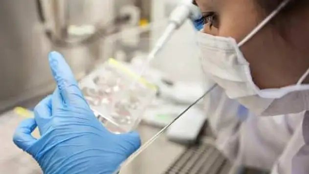 DSÖ'de Kovid-19 için hayat kurtaran yeni ilaç tavsiyesi