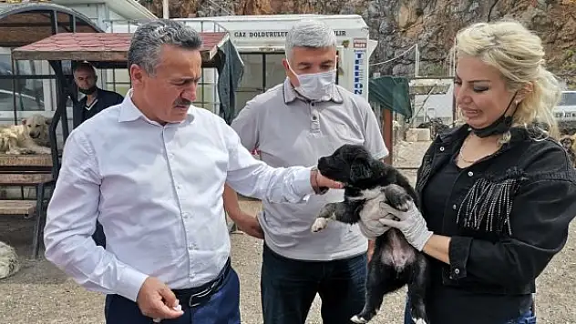 Seydişehir'e modern hayvan barınağı yapılacak