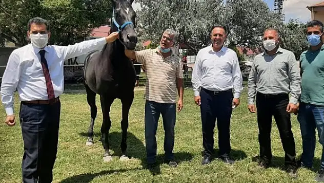 Şampiyon yine Ereğli'den