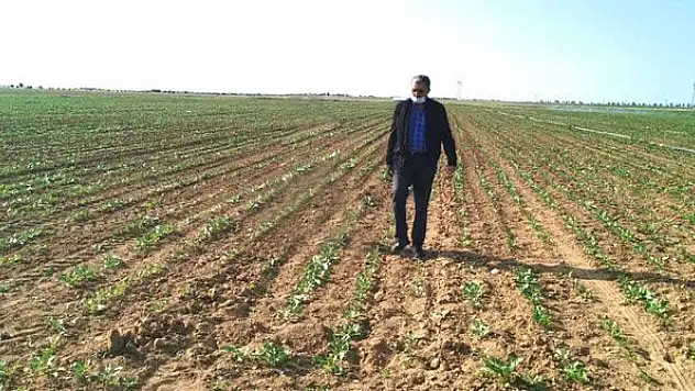 Konya Şeker'den üreticiye bayram avansı desteği