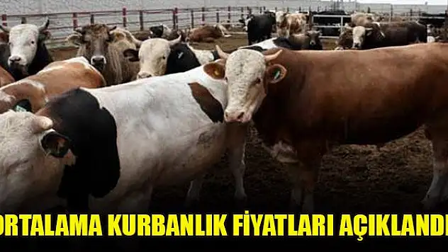 Ortalama kurbanlık fiyatları açıklandı