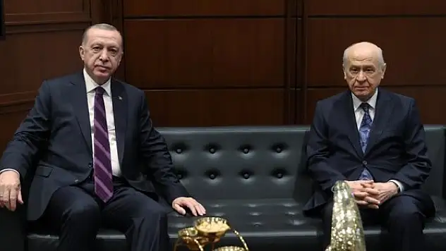 MHP Genel Başkanı Bahçeli, Cumhurbaşkanı Erdoğan'a çınar fidanı hediye etti